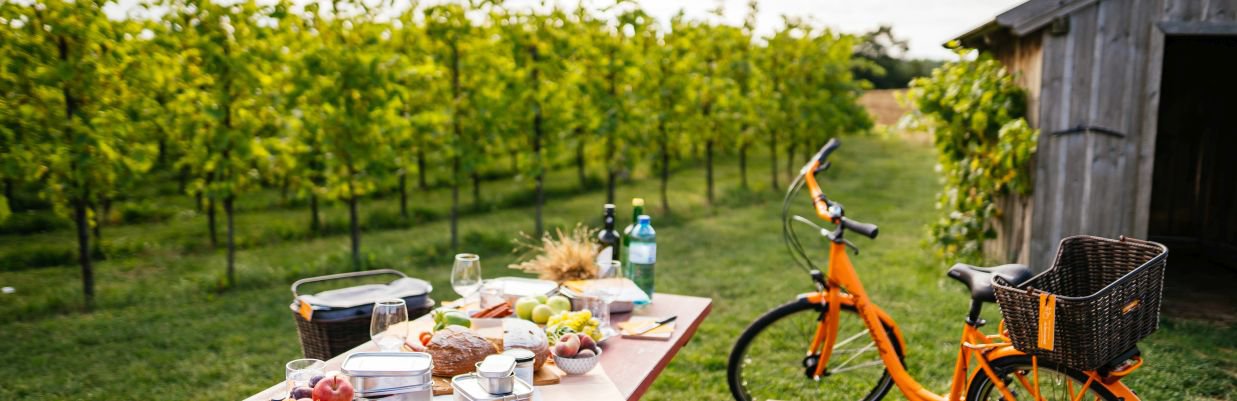 © WTG_Gollner Blog Weinviertel Rad_Titel_)WTG_Gollner.jpg