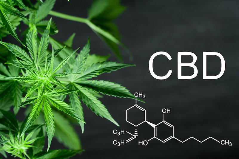 © Pixabay CBD Content.jpeg