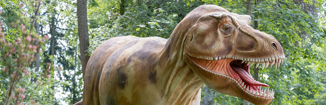 Dinoland_WS
