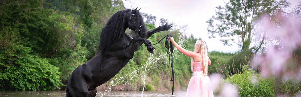 © Kerstins Photography Header_Grand Cheval