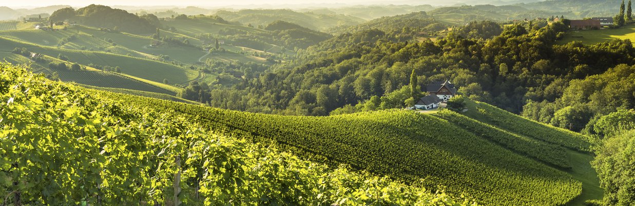 © Steiermark-Tourismus Wolfgang Jauk Lead_BIld_(c)_steiermark-tourismus_wolfgang-jauk.jpg