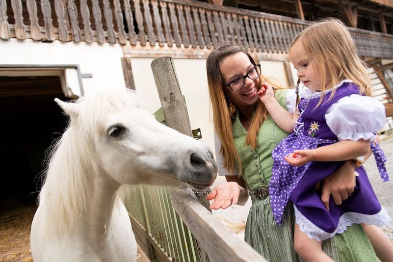 © Niki Pommer Reise Familienhotel-Berger_Streichelzoo-Pony_content.jpeg