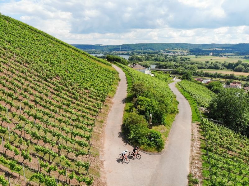 © Ralf Schanze Rennrad_Abt-Degen-Weintal Weinberge(c)Ralf Schanze_801 x flexibel px_2