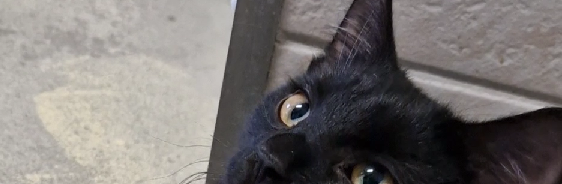 Screenshot 2026-01-07 102318