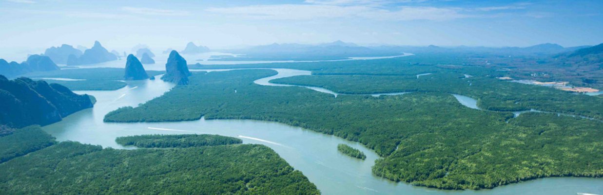 Thai landschaft 1237x401.jpg