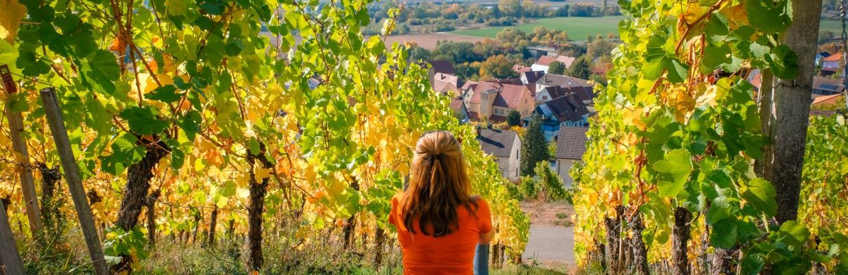 © Haßberge Tourismus e.V. Simon Kogej Weinberge Ziegelanger(c)HaßbergeTourismus e.V._Simon Kogej_1237x610_Header